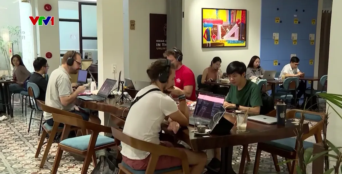 Tăng phí bản quyền âm nhạc tại quán cà phê, nhà hàng từ ngày 1/7 - Ảnh 3